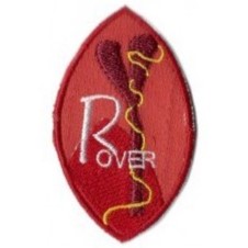 Insignia de Participación Rover