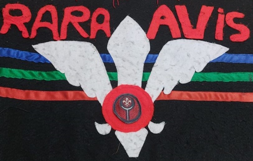 Clan Rover Rara Avis en la montaña