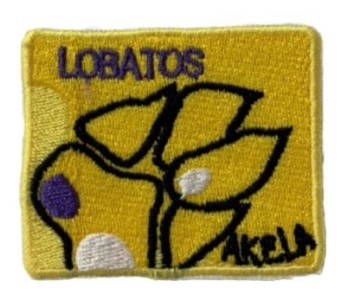 Insignia de la etapa de Integración