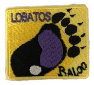 Insignia de la etapa de Participación