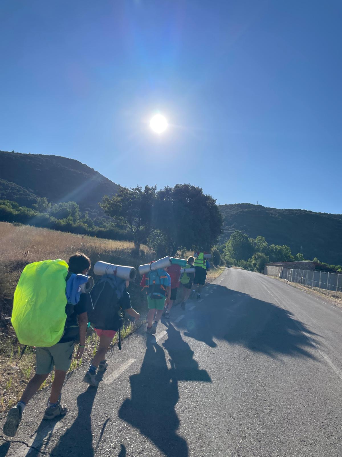 Manada Waingunga trabajando en equipo