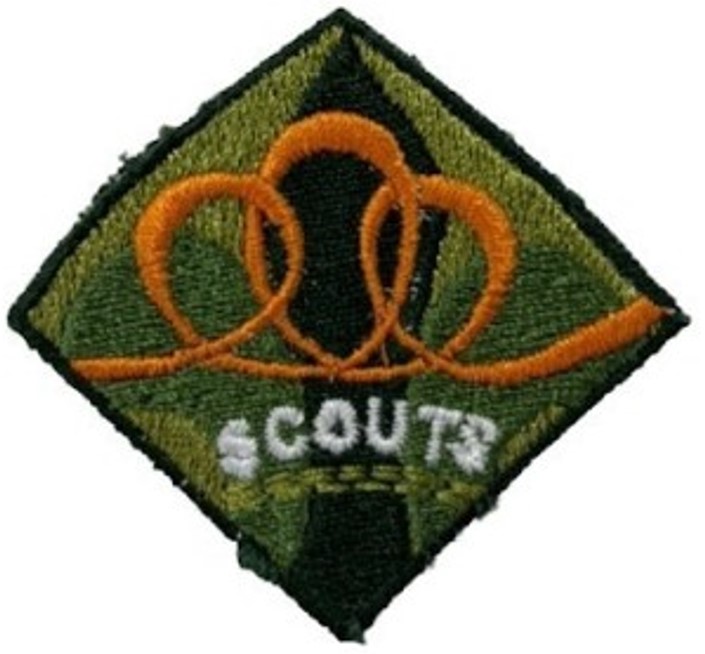 Insignia de la etapa de Integración