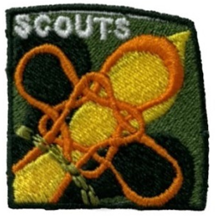 Insignia de la etapa de Participación